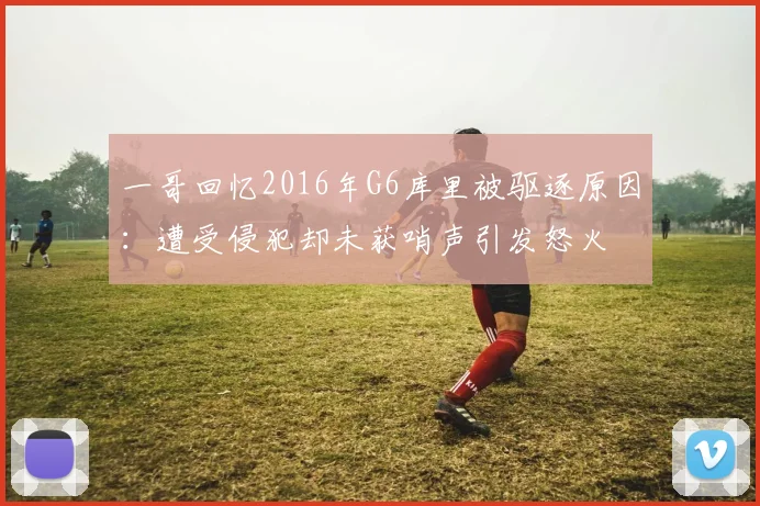 一哥回忆2016年G6库里被驱逐原因：遭受侵犯却未获哨声引发怒火